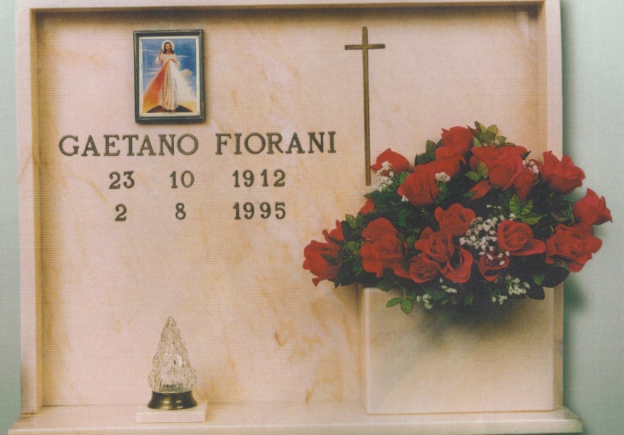 Rosa_del_Portogallo1